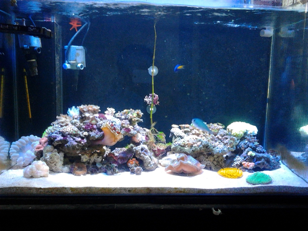 2012-05-28 11.20.59 - 