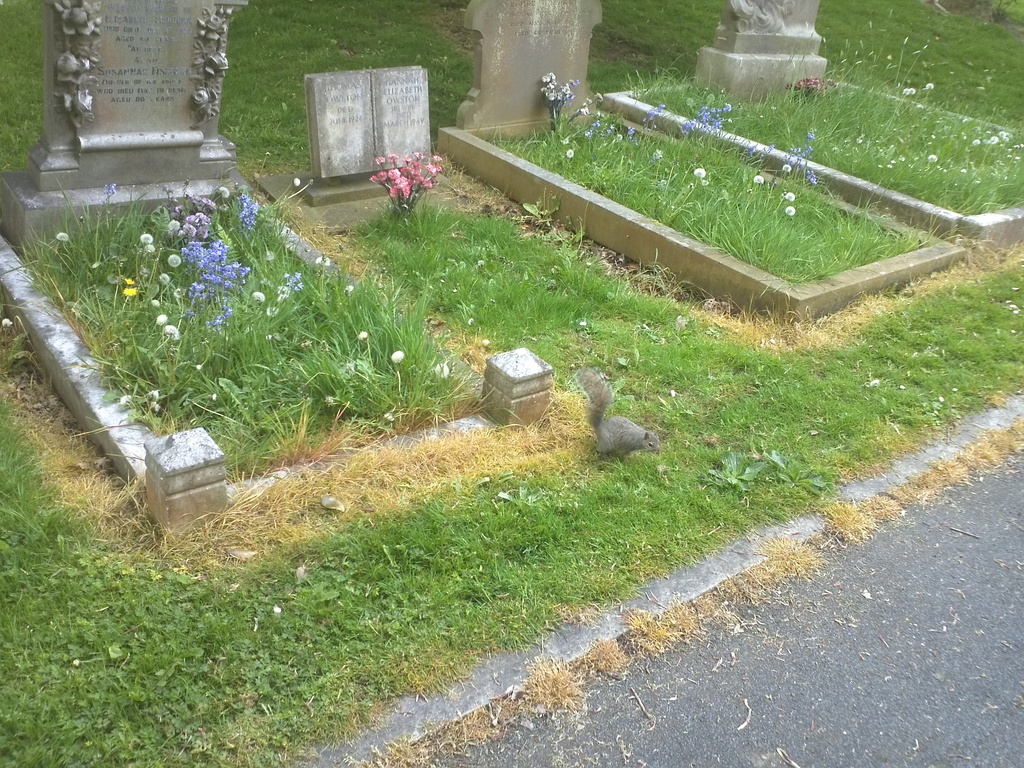 IMG 20120530 105303 - 