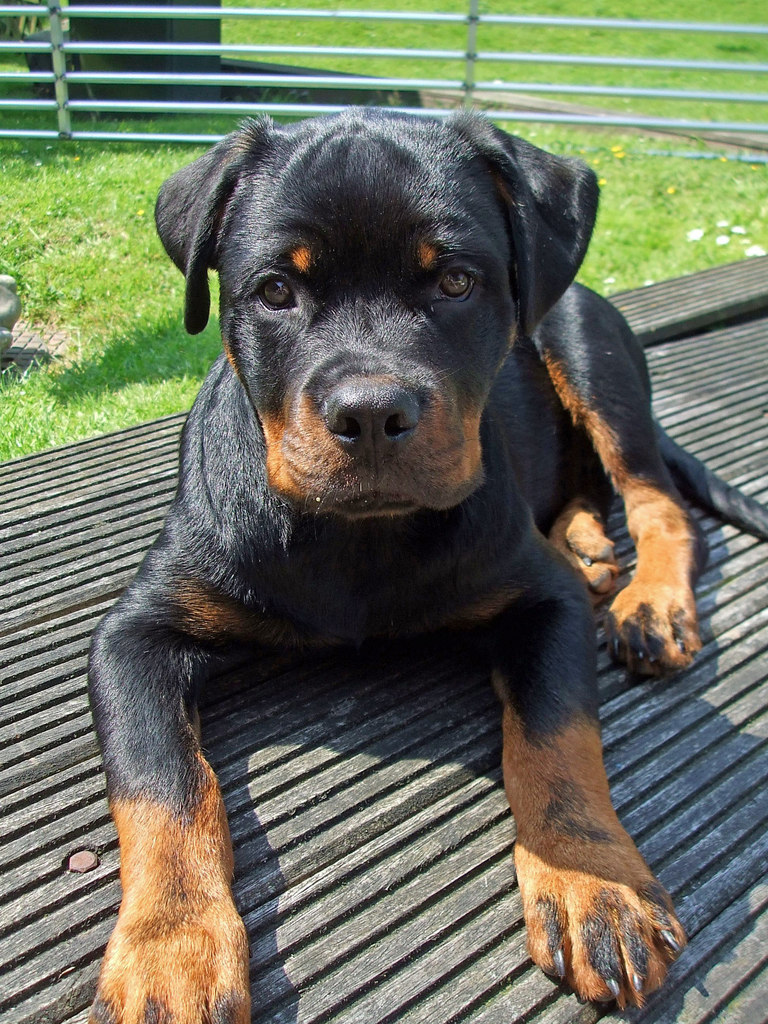 Afbeelding 027 edited - 