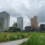 P1270183-001 - amsterdam