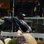 P1200064 - Bruce Springsteen - Newark - 05-02-2012