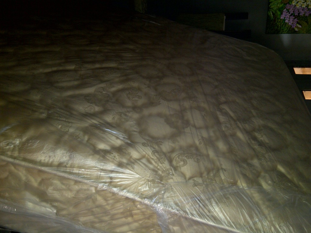 Pancoran-20120616-00013 - 