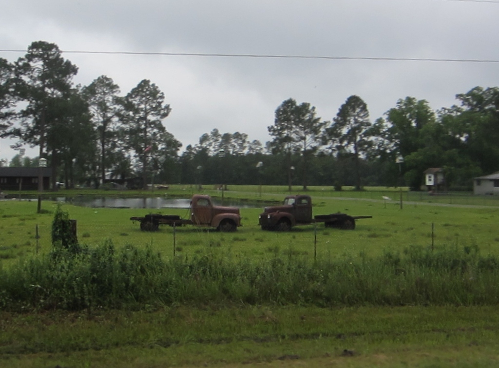 IMG 4830 - 2012 June