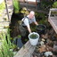 Tuin - vijver veranderen 20... - Garden 2011 & 2012