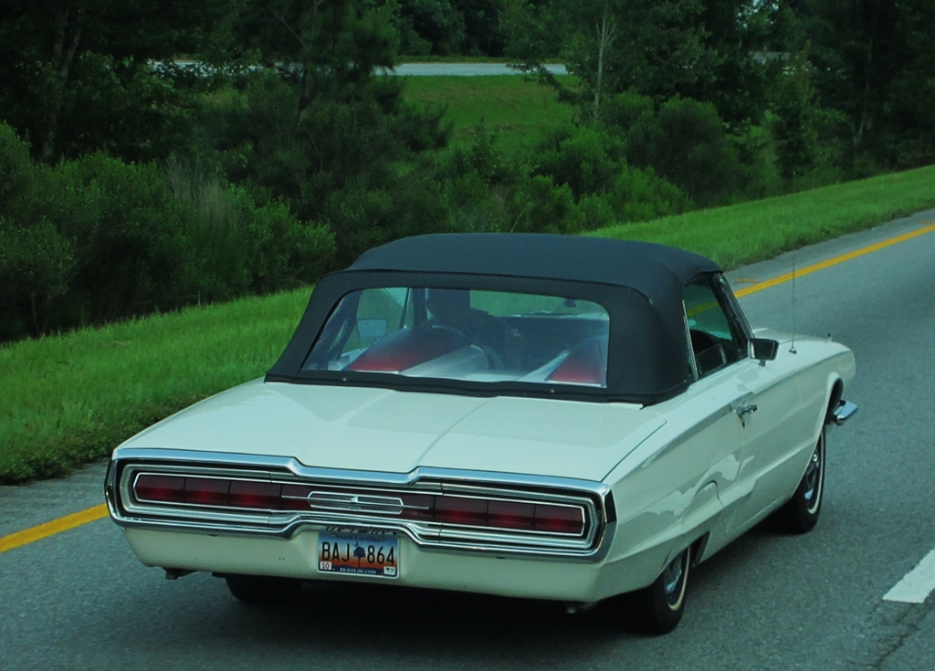 IMG 5864 - 2012 June