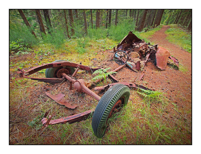 Truck in the Forest 1 Abandoned