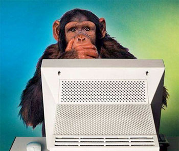 monkey-computer-1 - 