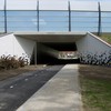 straatweidentunnel (1) - Straatweidentunnel 