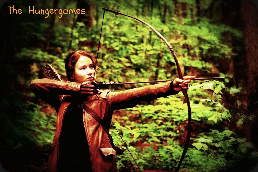 The Hunger Games Film (6) - 