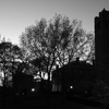 Tufts' Chapel and Academic ... - Travels in Black & White