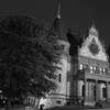 Wellesley Town Hall - Travels in Black & White