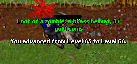 66 - 