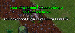 67 - 