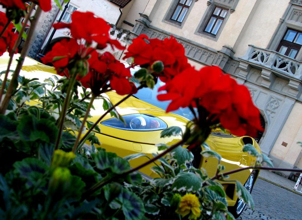 F430-Spider-21.6.08-003 - 