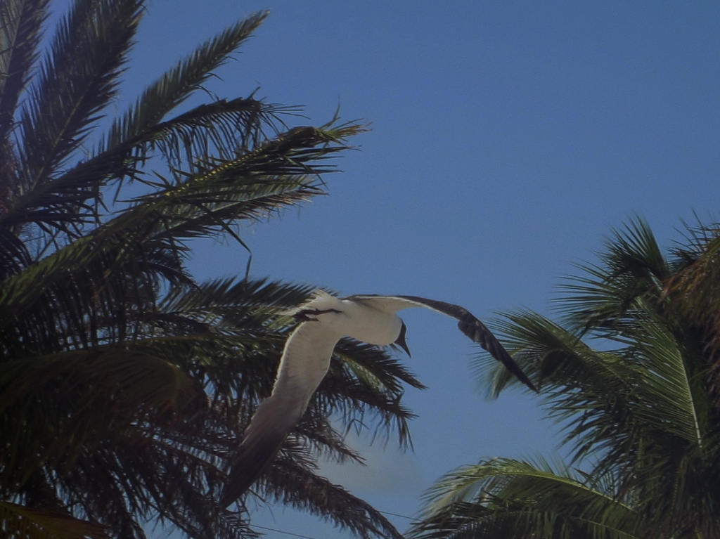 IMG 8197 - 2012 July