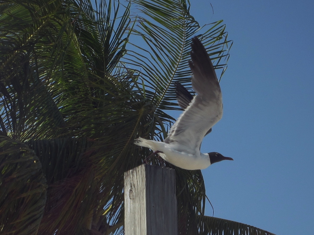 IMG 8190 - 2012 July