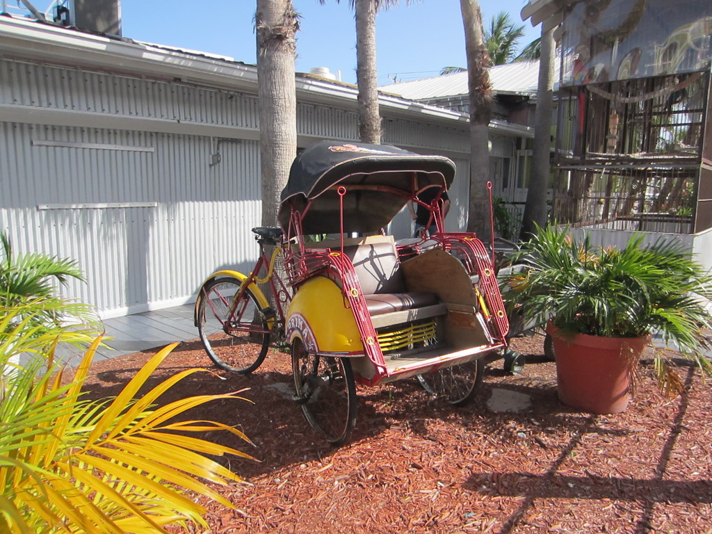 IMG 8110 - 2012 July