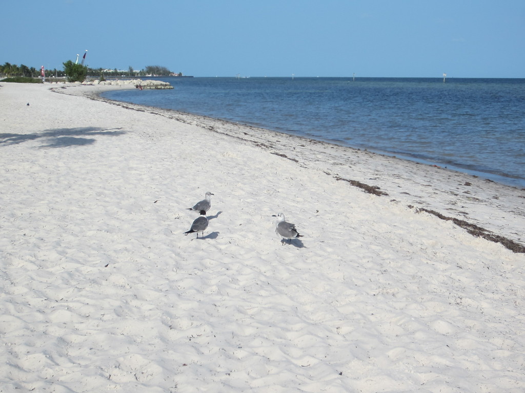 IMG 8313 - 2012 July