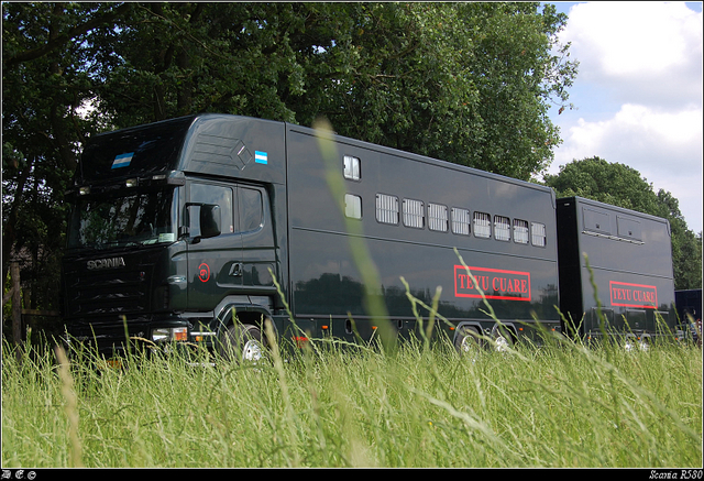 DSC 7483-border paardentruck