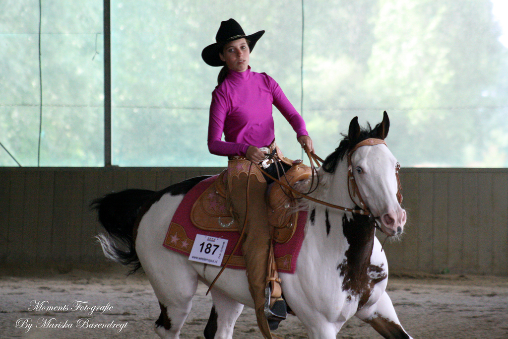 Afbeelding 131kopie - 