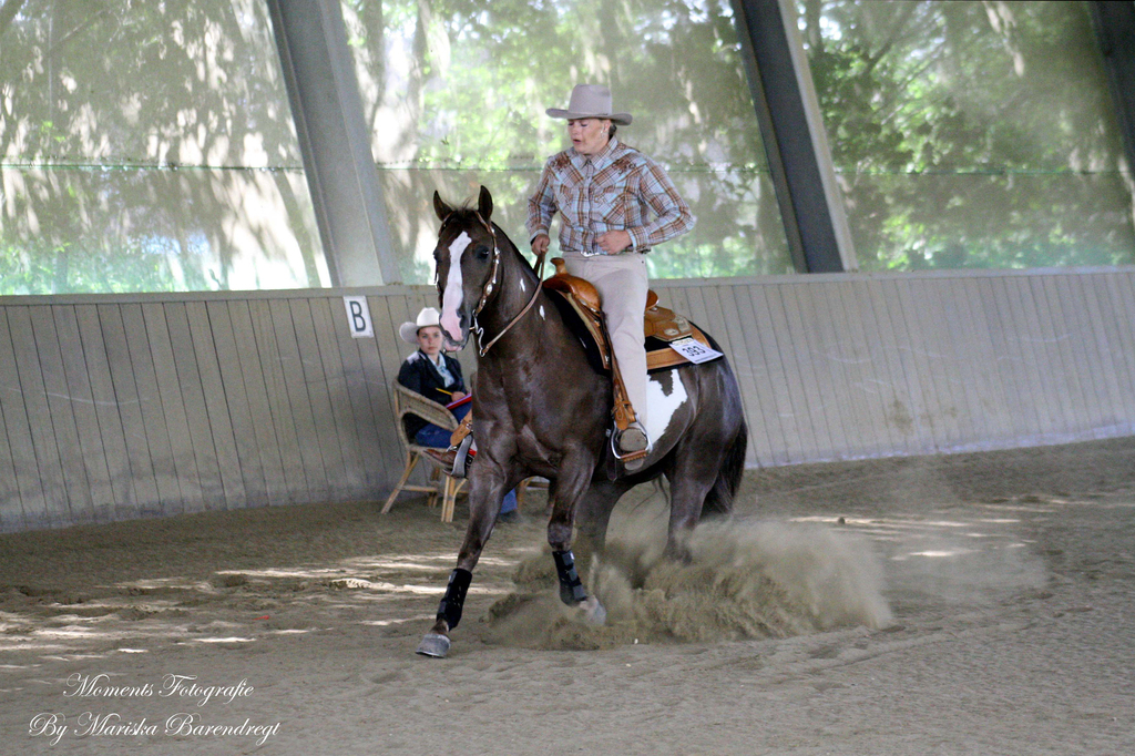 Afbeelding 137kopie - 