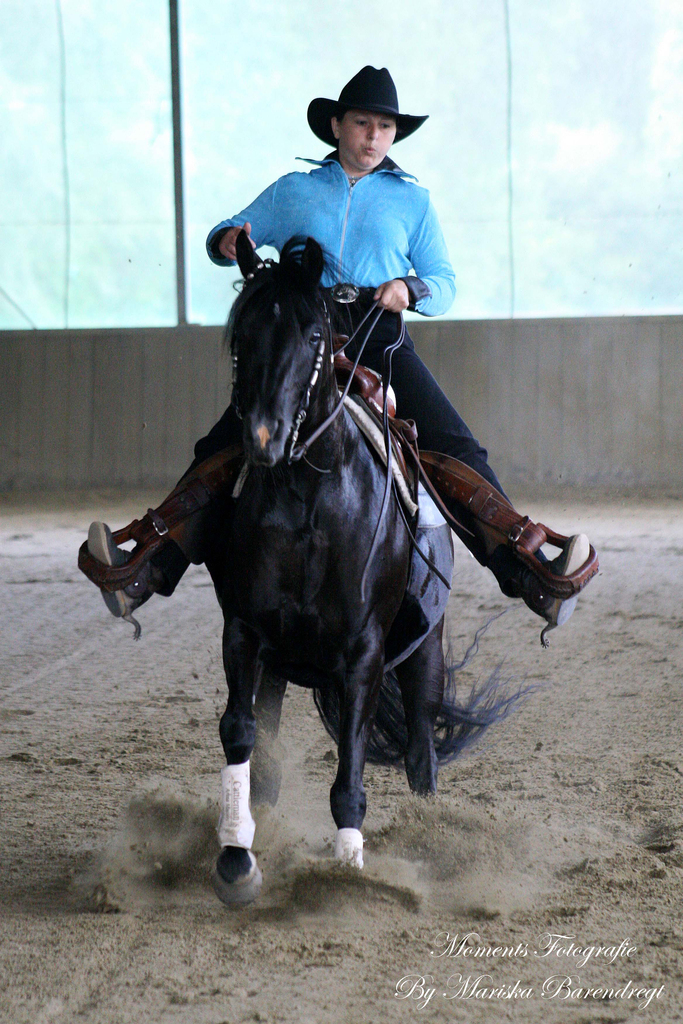 Afbeelding 142kopie - 