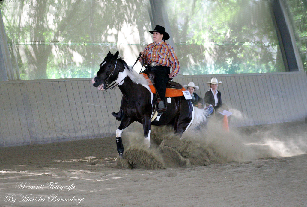 Afbeelding 155kopie - 