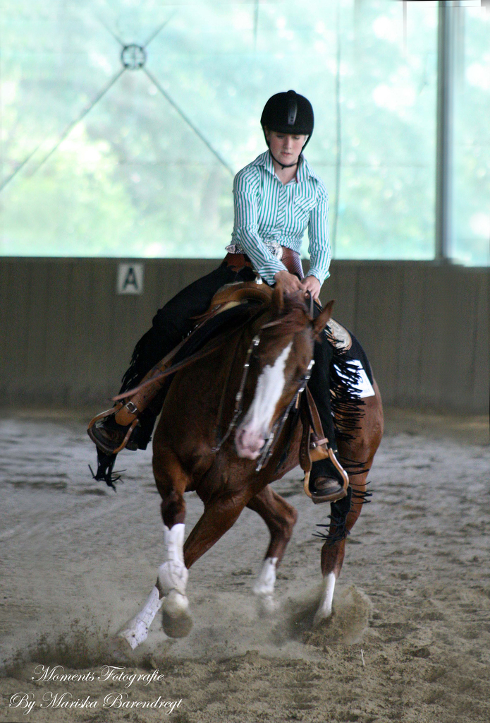 Afbeelding 168kopie - 