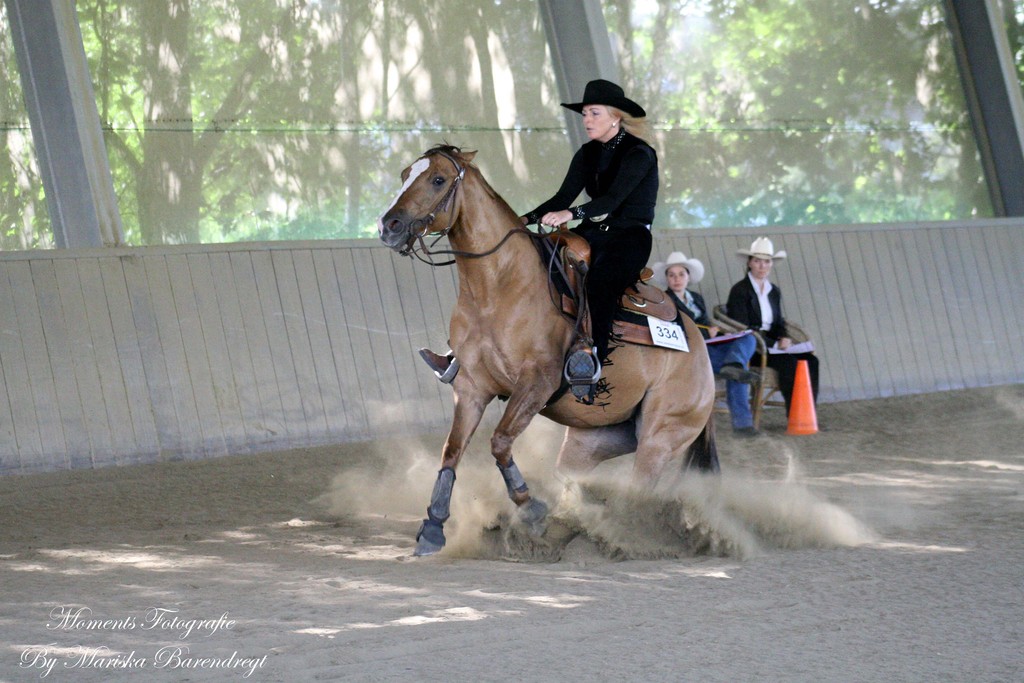 Afbeelding 174kopie - 