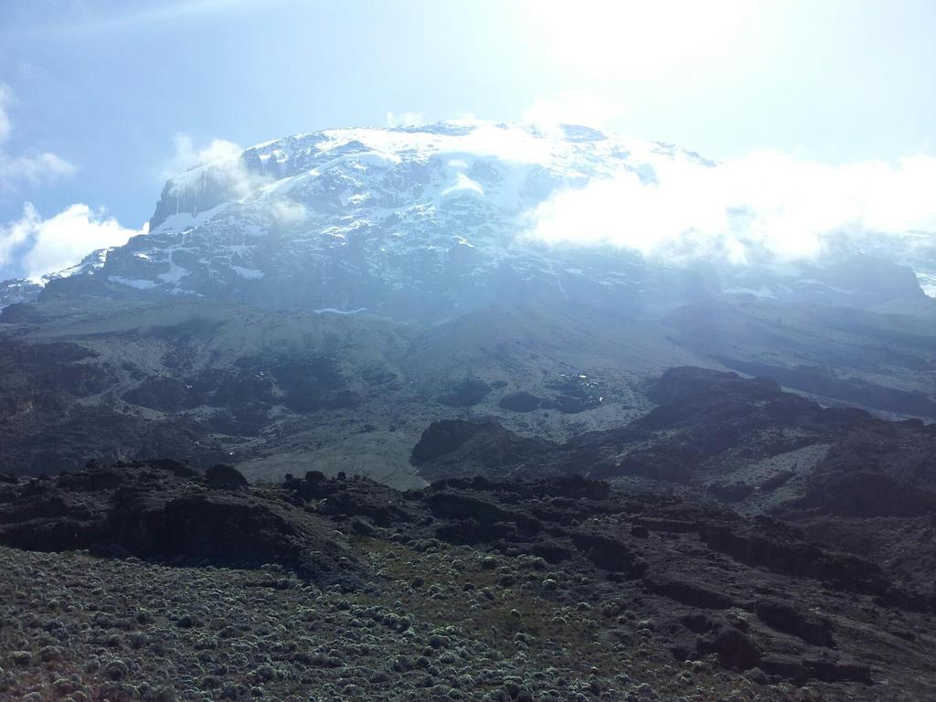 288206 10151059892658255 1336330243 o - 