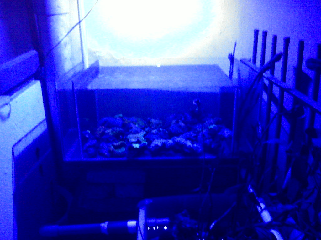 IMG00564-20120724-0500 - 