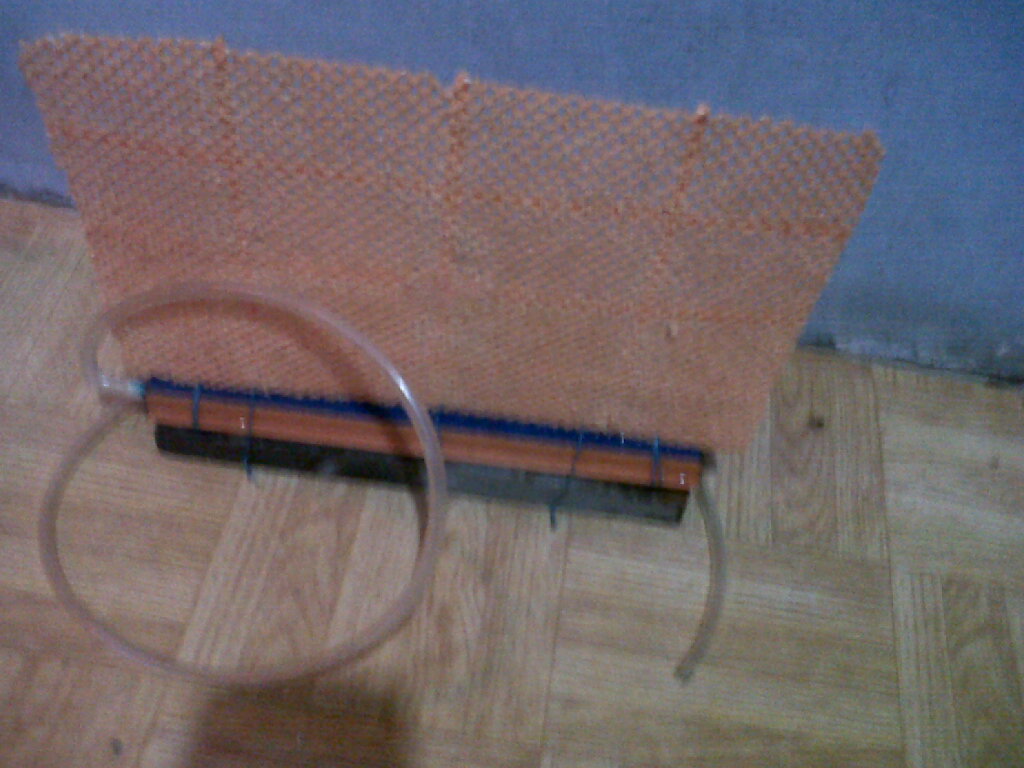 IMG00589-20120728-2221 - 