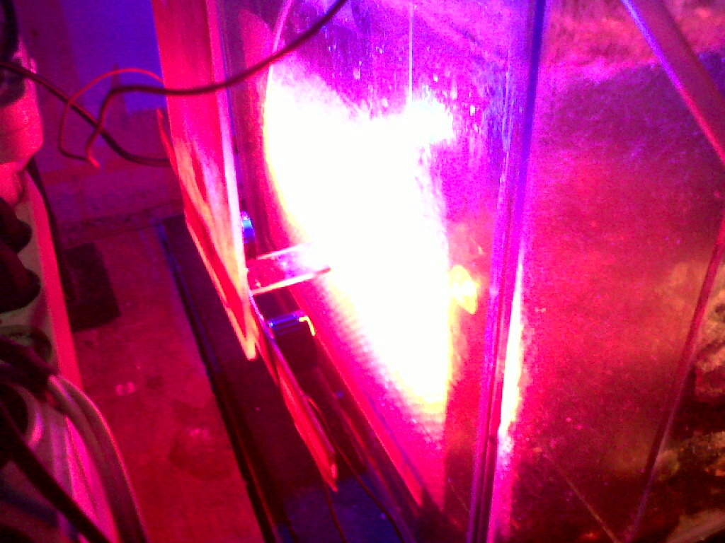 IMG00590-20120728-2356 - 