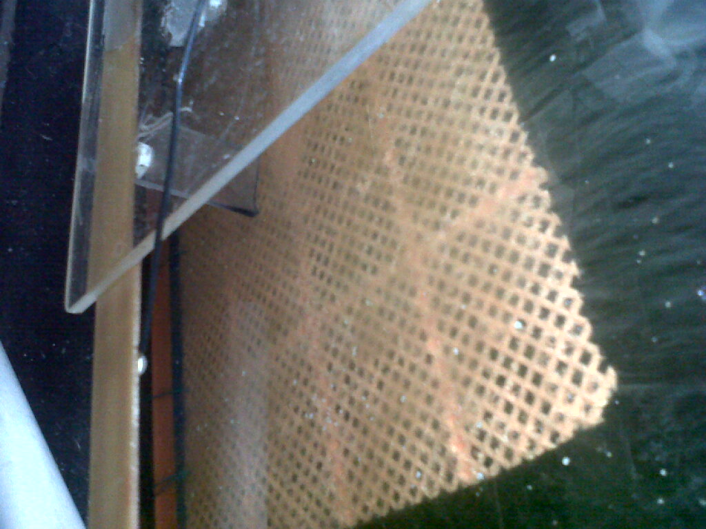 IMG00605-20120731-0337 - 