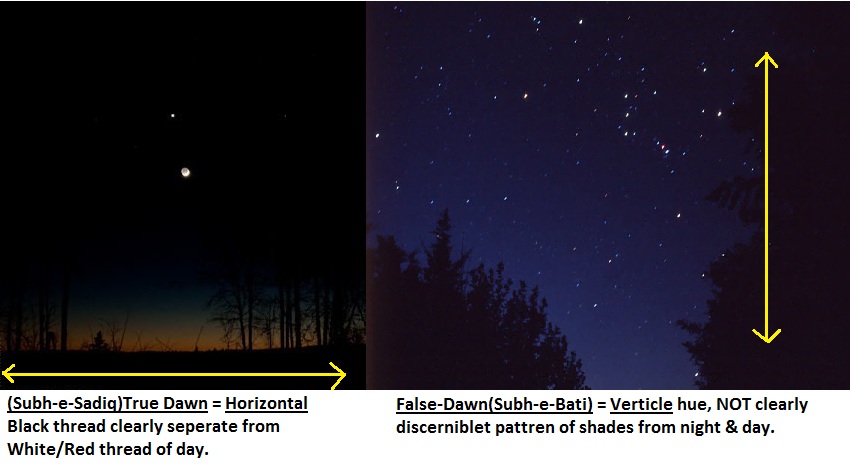 When to stop eating - Horizontal Verticle Light - 