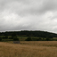 Panorama of Hedeby and its ... - Harvard in Scandinavia: June 27-30, 2008 (Hedeby)