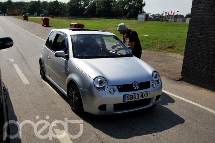 okokokoko.jpg Picture