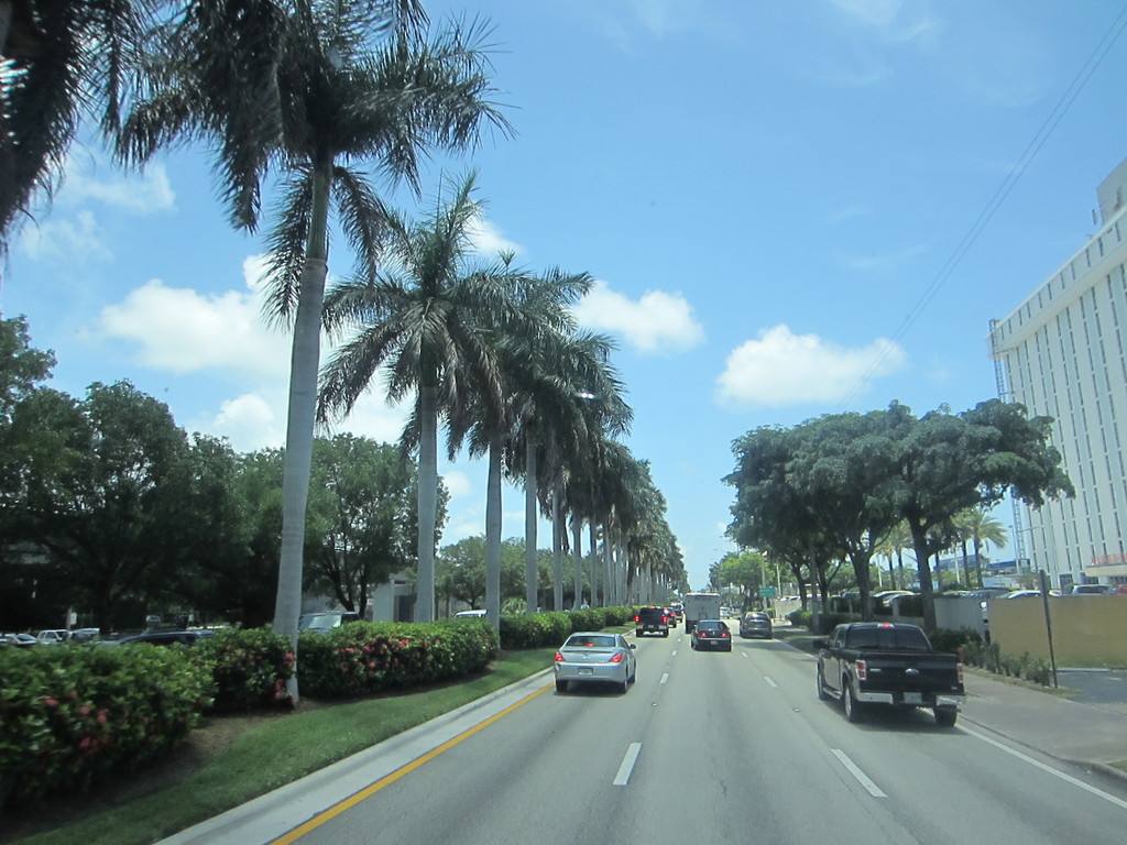 IMG 0123 - 2012 July