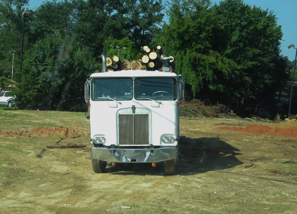 IMG 1200 - 2012 July