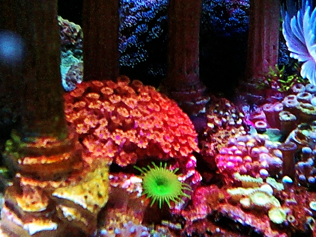 C360 2012-08-17-20-20-54 - 