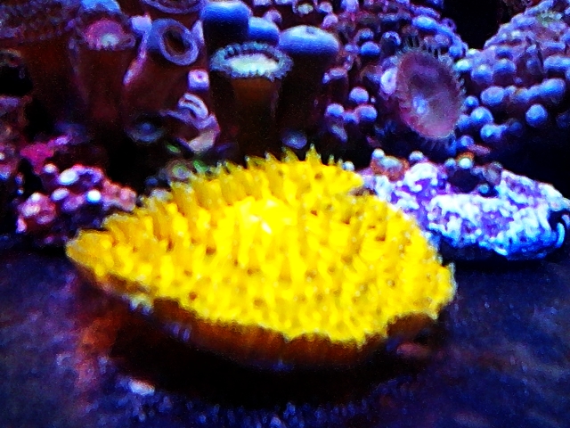 C360 2012-08-17-20-21-50 - 