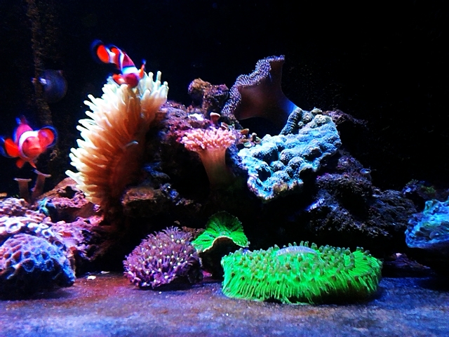 C360 2012-08-17-20-21-26 - 