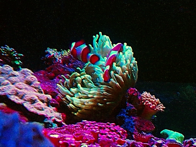 C360 2012-08-17-21-06-50 - 