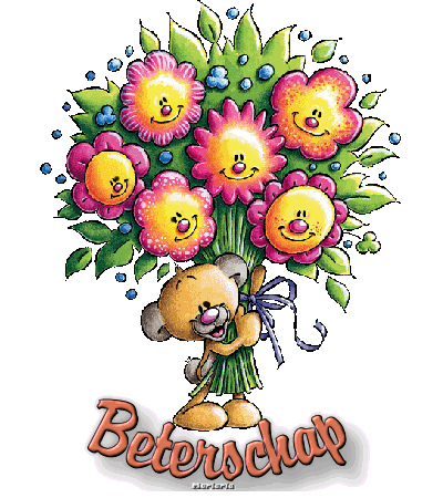 beterschap+pimboli+bloemen - 