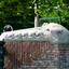 P1090578 - amsterdamsite3