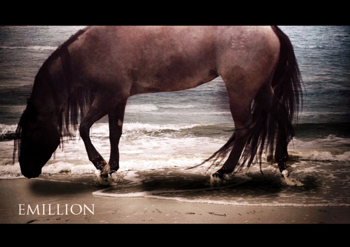 emillion - 