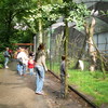 Papegaaienpark Veldhoven