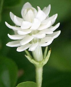 $(KGrHqYOKj!E3uZDrb44BN77z51FFg~~ 35 - 