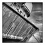 Comox Docks 4 2012 - Black & White and Sepia