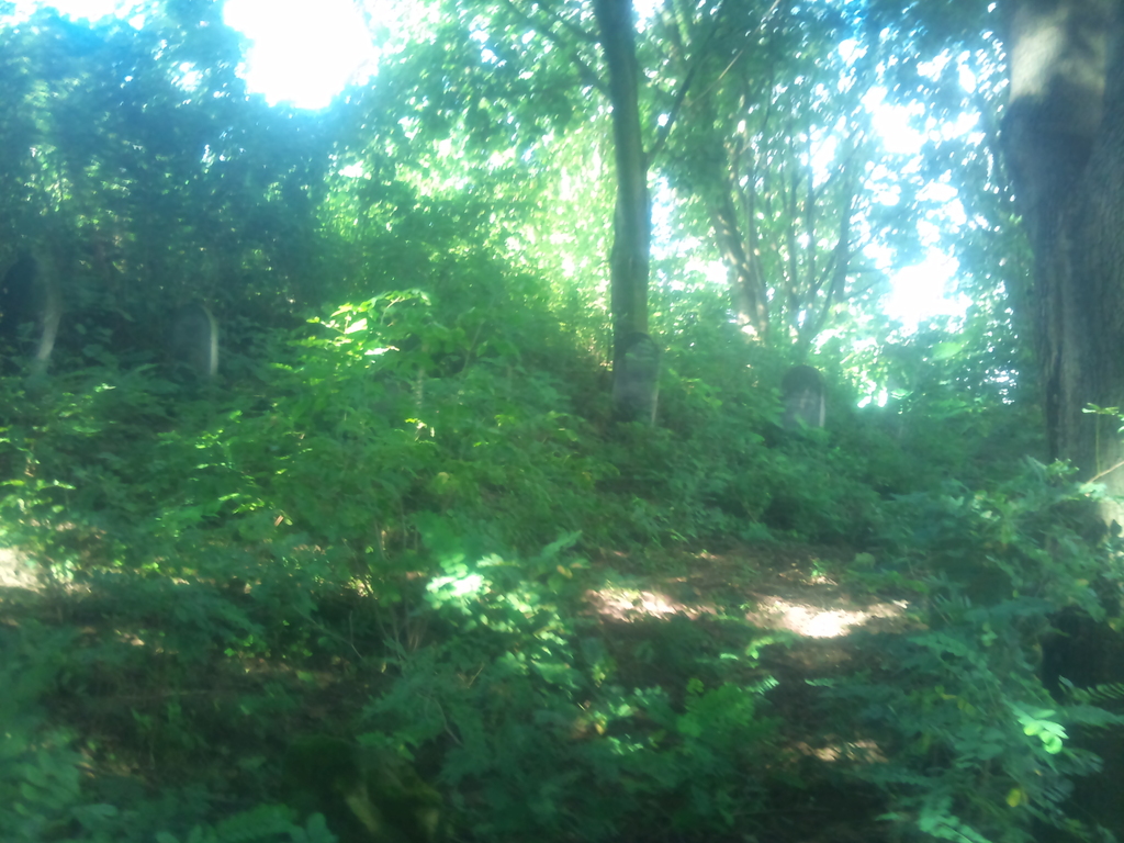 2012-08-28 10.27.15 - 